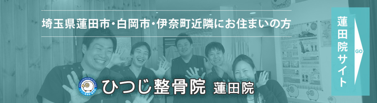 埼玉県蓮田市・白岡市・伊奈町近隣にお住まいの方 ひつじ整骨院 蓮田院